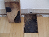 Baubiologische Sanierung Vorschaubild