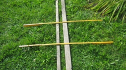 Geopathologische Sanierung Bild 1