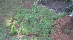 Geopathologische Sanierung Bild 4