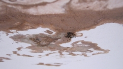 Kindergartensanierung Bild 4