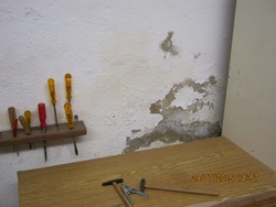 Schimmel im Kindergarten 2 Bild 2