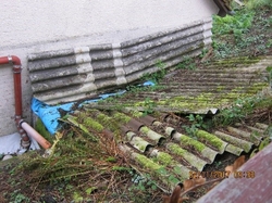 Eternitplatten Bild 1
