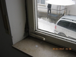 Schimmelbefall Wohnung Bild 2