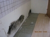 Schimmel in Wohnung Vorschaubild