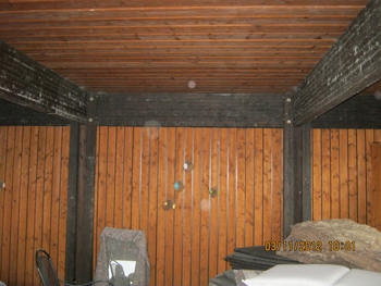 Schimmel und Holzschutzmittel Bild 2