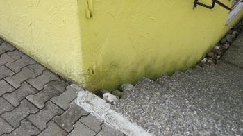 Schimmel im Wohnraum Bild 1