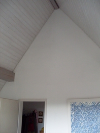 Schimmelverdacht im Wohnraum Bild 2
