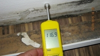 Schimmelbefall nach Wasserschaden Bild 4
